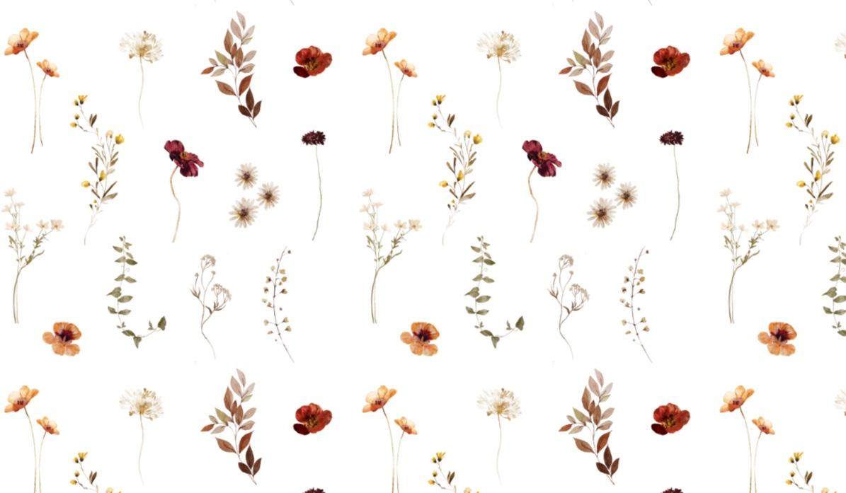 Footer image