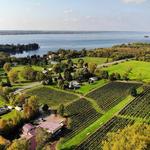 Heart & Hands Wine Company