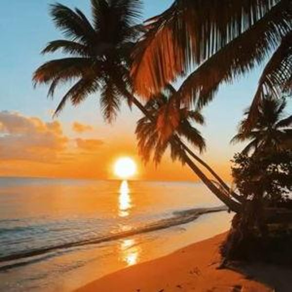 Honeymoon Adventure