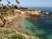 La Jolla Cove