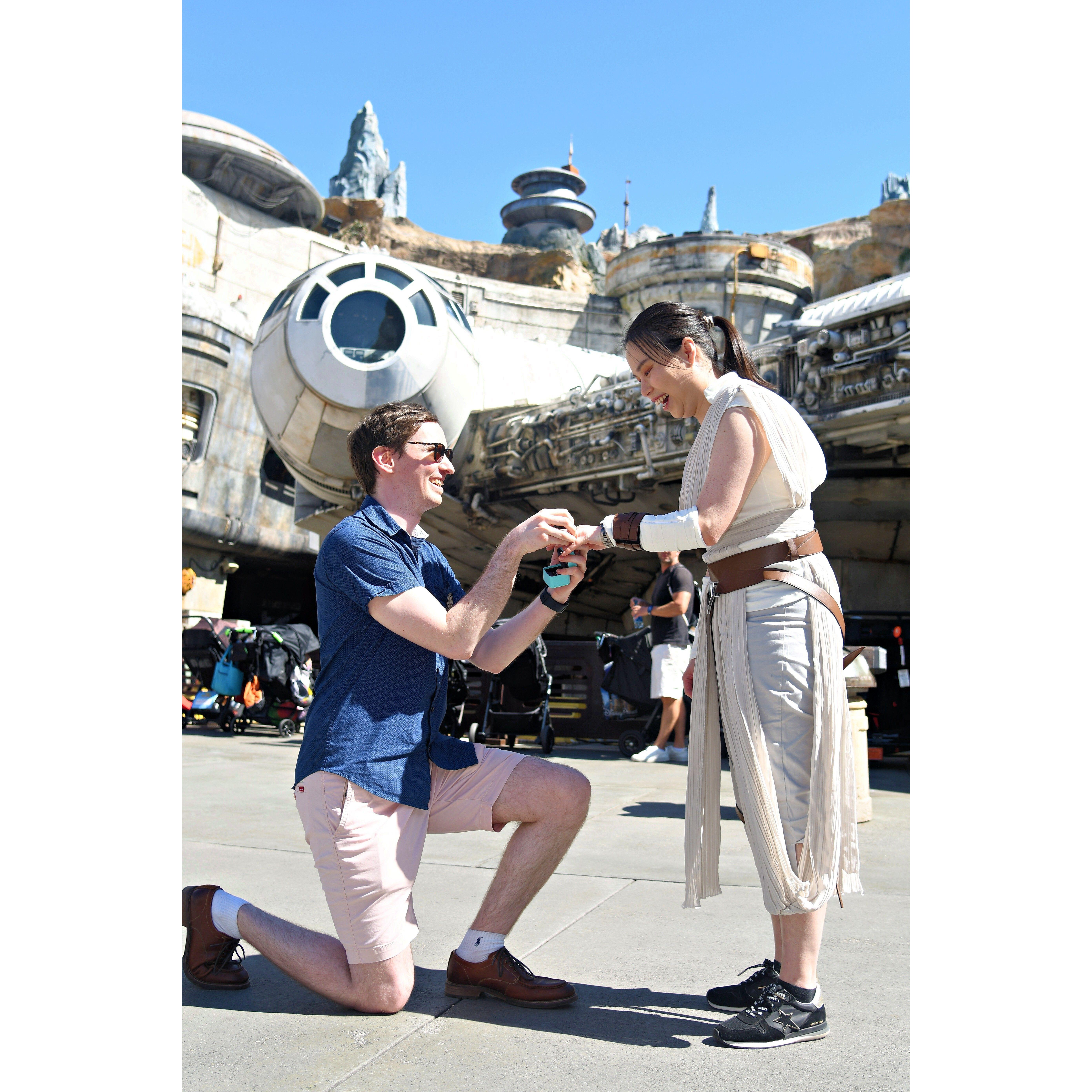 Our proposal