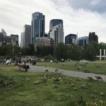Prince's Island Park