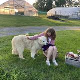 Open Book Farm