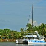Catamaran and Dolphin Watching Cruise