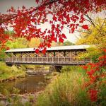 Allegany State Park