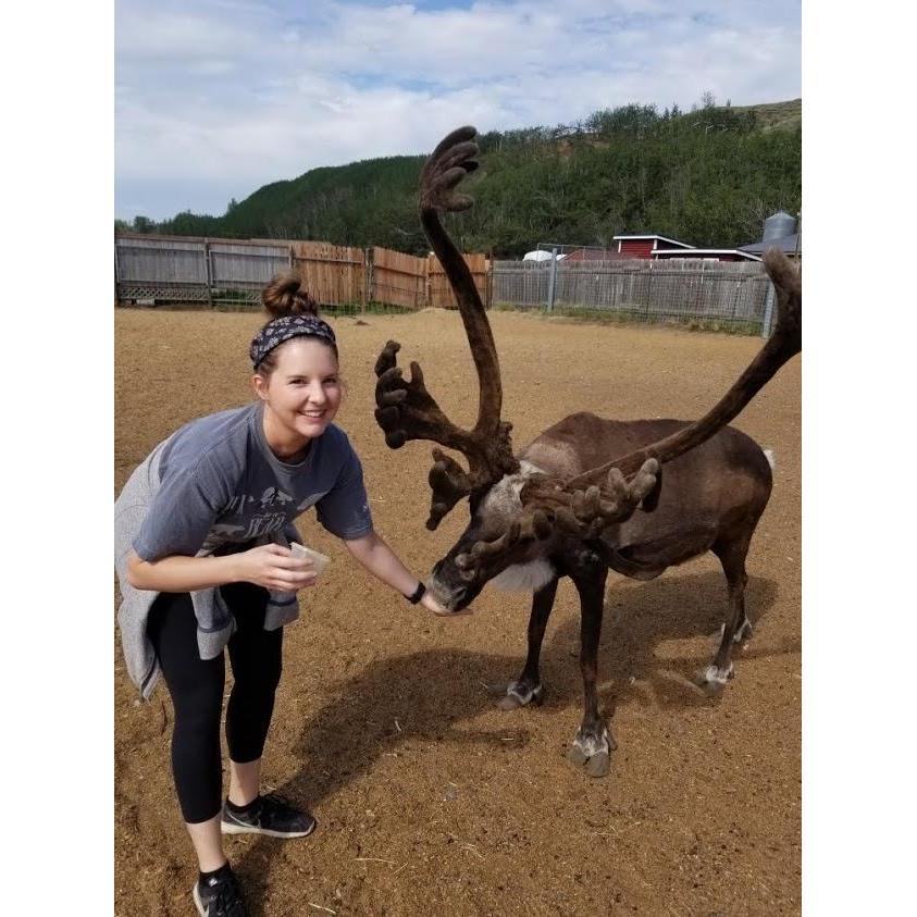 Reindeer Farm. Palmer, AK. August 2019.