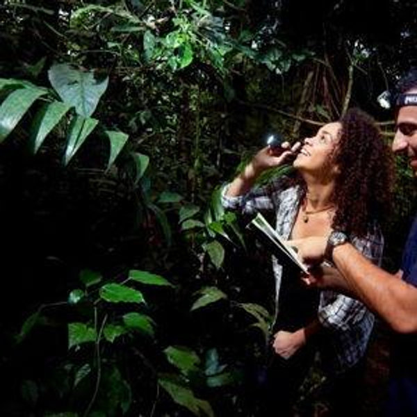 Costa Rica Nighttime Nature Hike