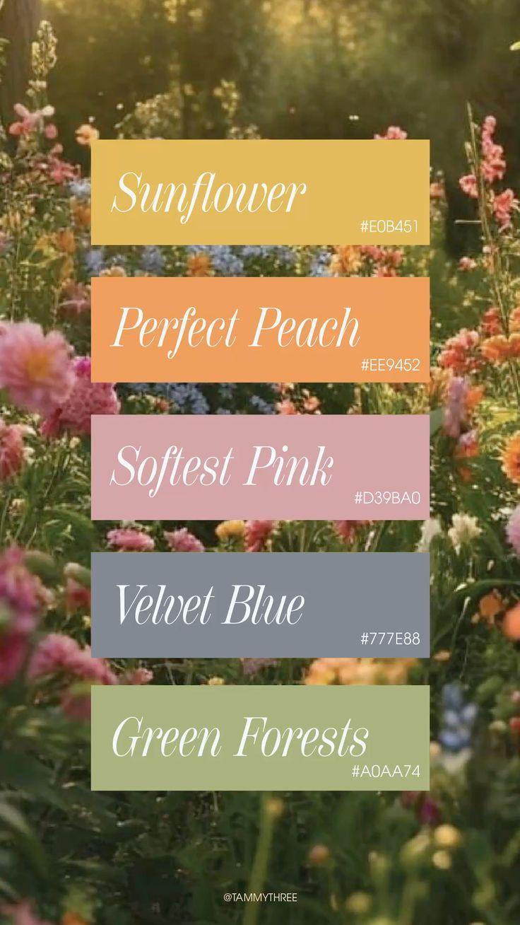 The Wedding Website of Maddie Samiakos and Ben Valencic