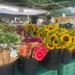 St. Petersburg Saturday Morning Market