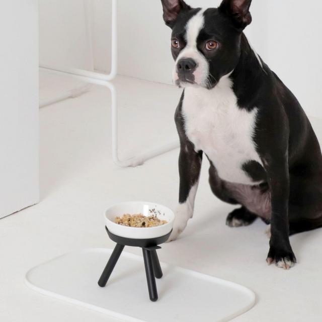 Pets So Good Oreo Pet Mat