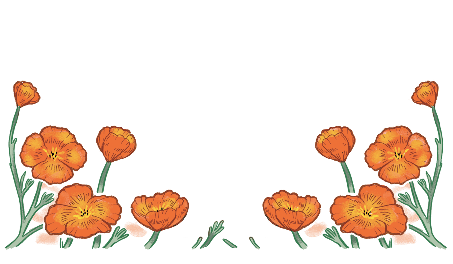 Footer image