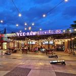 Yee-Haw Brewing Company