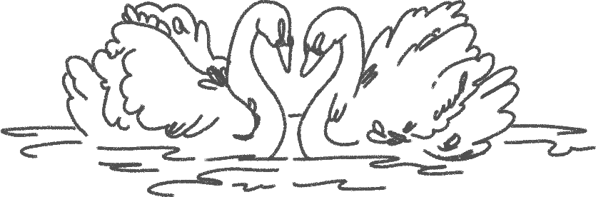The Wedding Website of Maria Varano and Luke Pabst