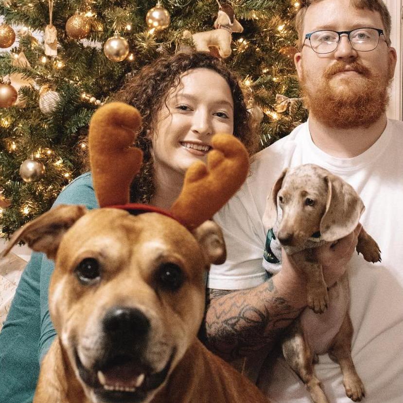 This is their Christmas photo from 2020 with the whole family in front of the tree.