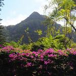 El Valle de Anton