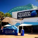 The Florida Aquarium