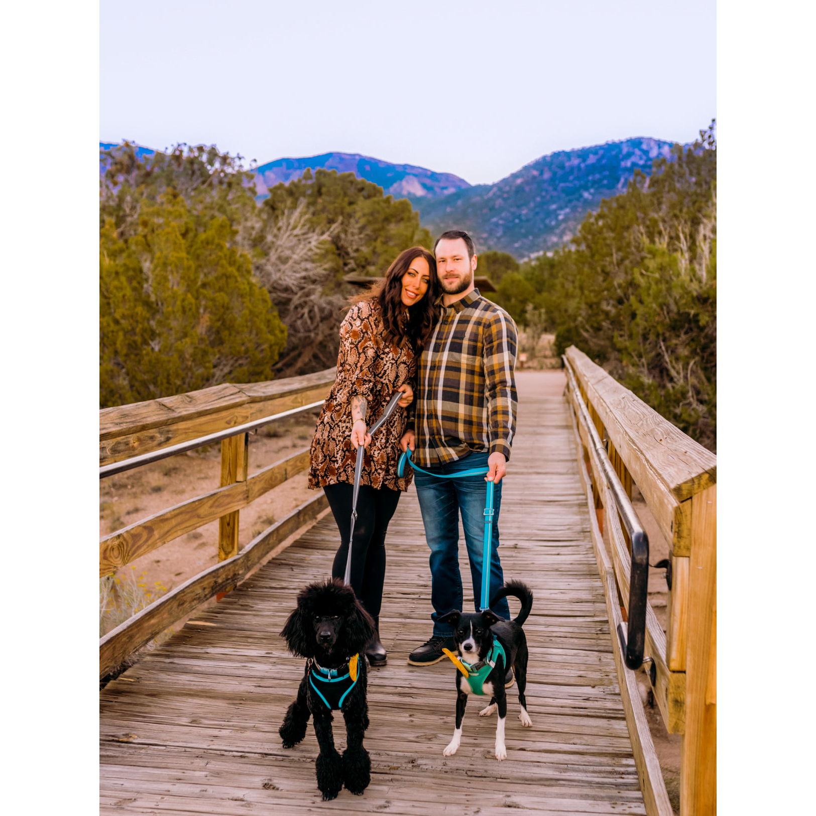 Albuquerque with our two pups!