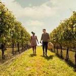 Loudoun County Wineries