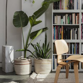 Decorative Twin Basket