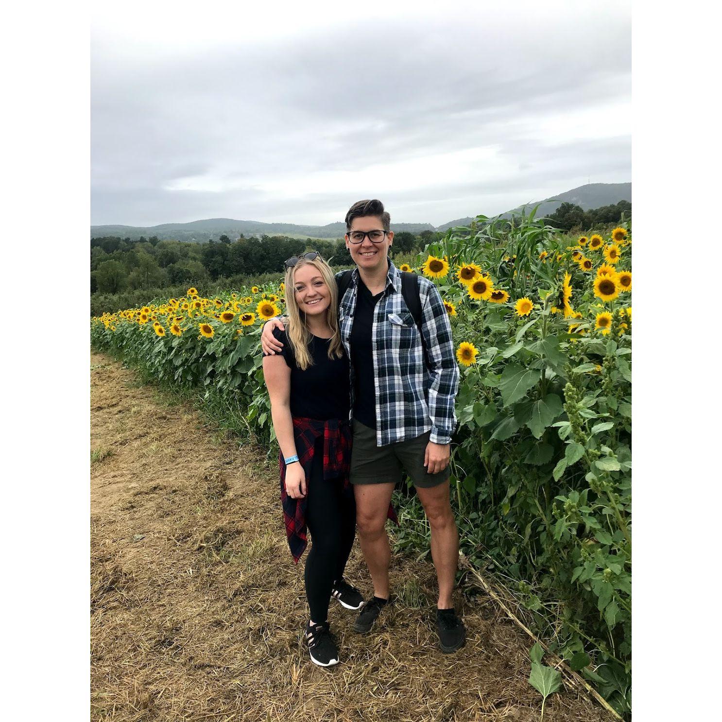 Upstate | Sept 2019