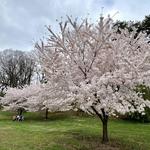 Branch Brook Park