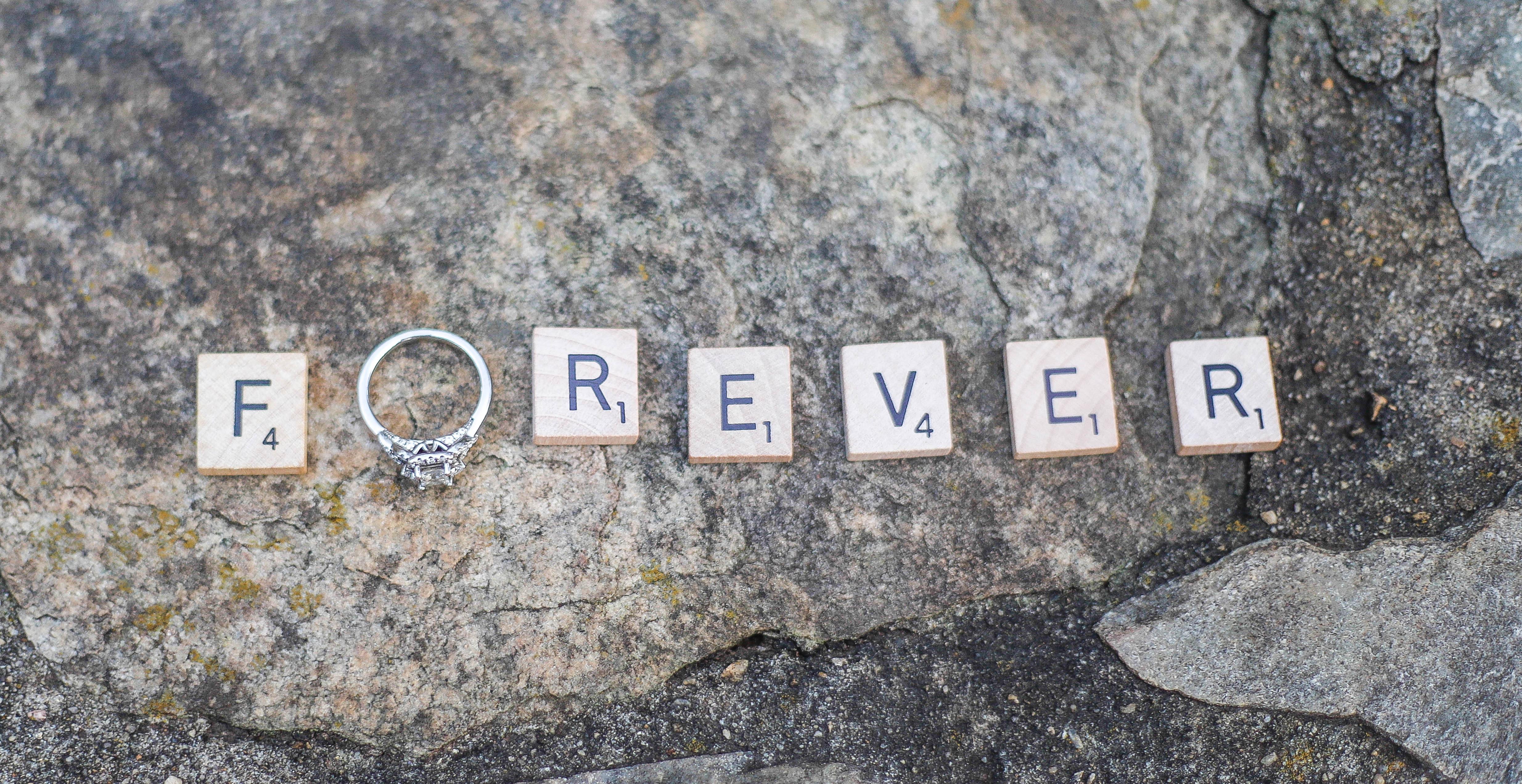 The Wedding Website of Shanice Wester and Christopher Edwards