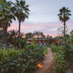 Flora Farms