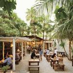 Nightlife & Restaurants