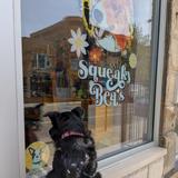 Get your pet a special treat at Squeaky Bea’s
