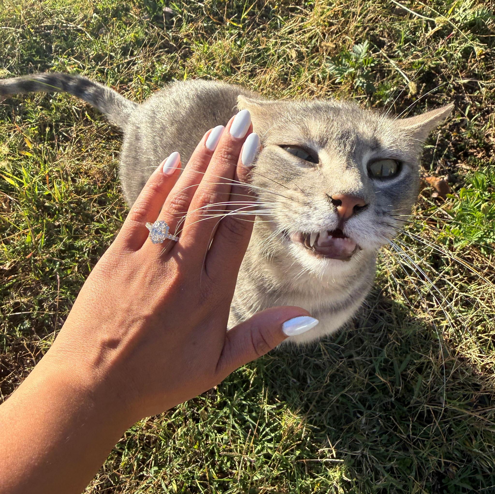 I was trying to get a picture of the ring but Marshall demanded to be pet!