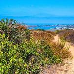 Harbor Drive Trail