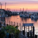 Shem Creek