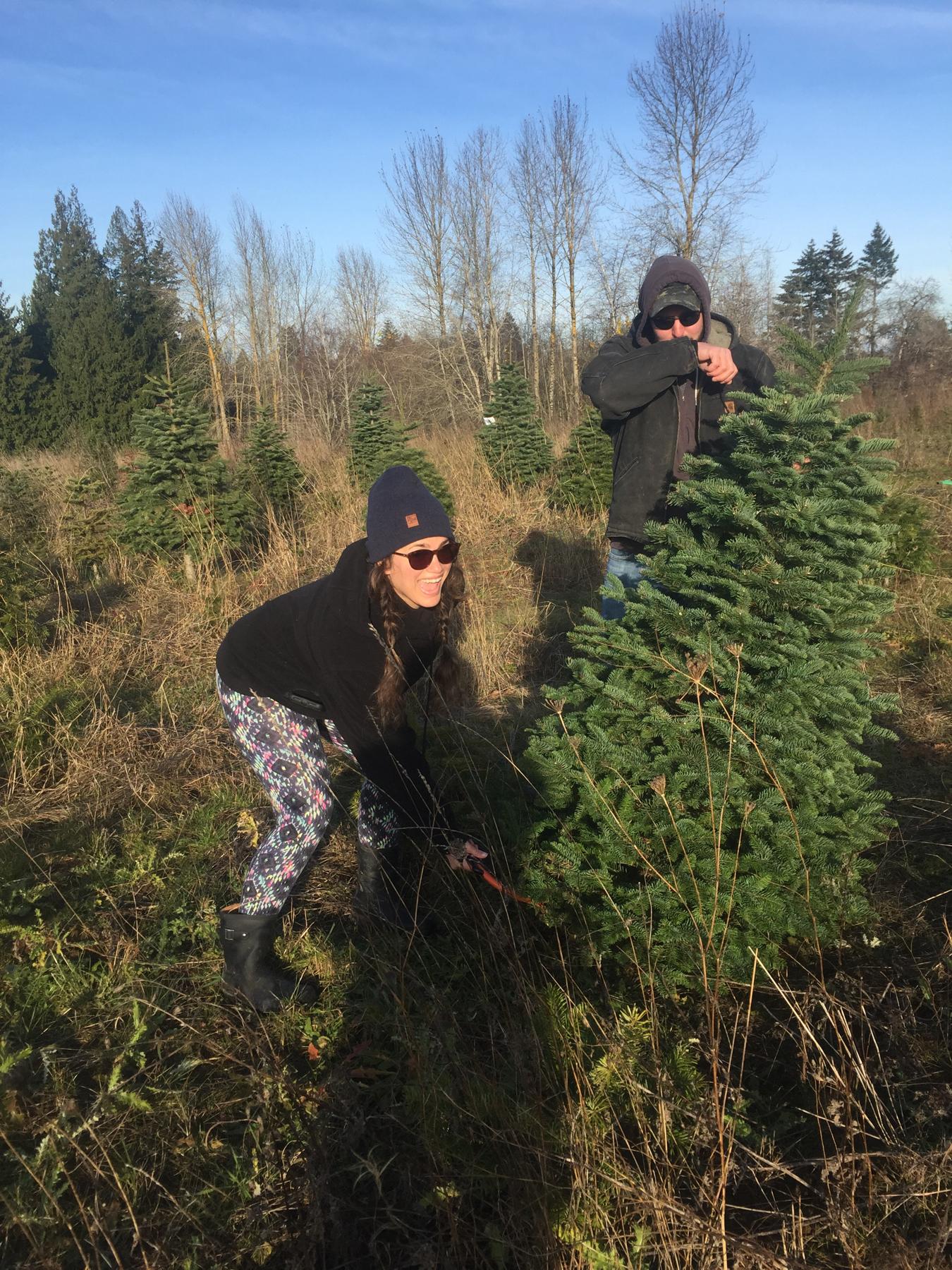 Our first Christmas tree