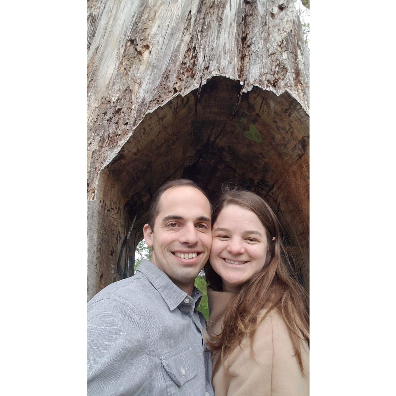 Walks around our favorite park, Highland Park.