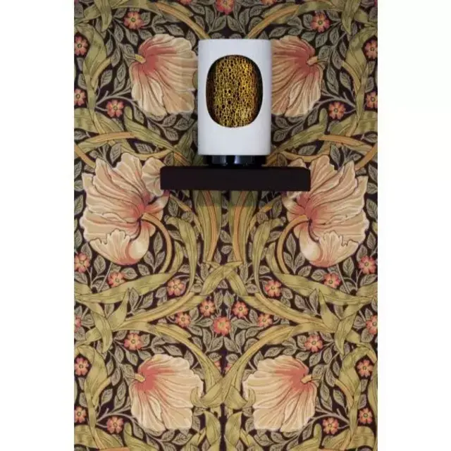 Un Air de diptyque: Home Electric diffuser
