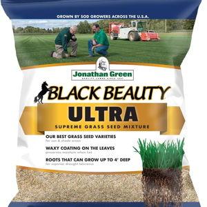 Jonathan Green (10322) Black Beauty Ultra Grass Seed - Cool Season Lawn Seed (7 lb)