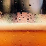 Bonesaw Brewing Co. - Glassboro