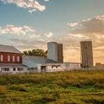 Young's Jersey Dairy