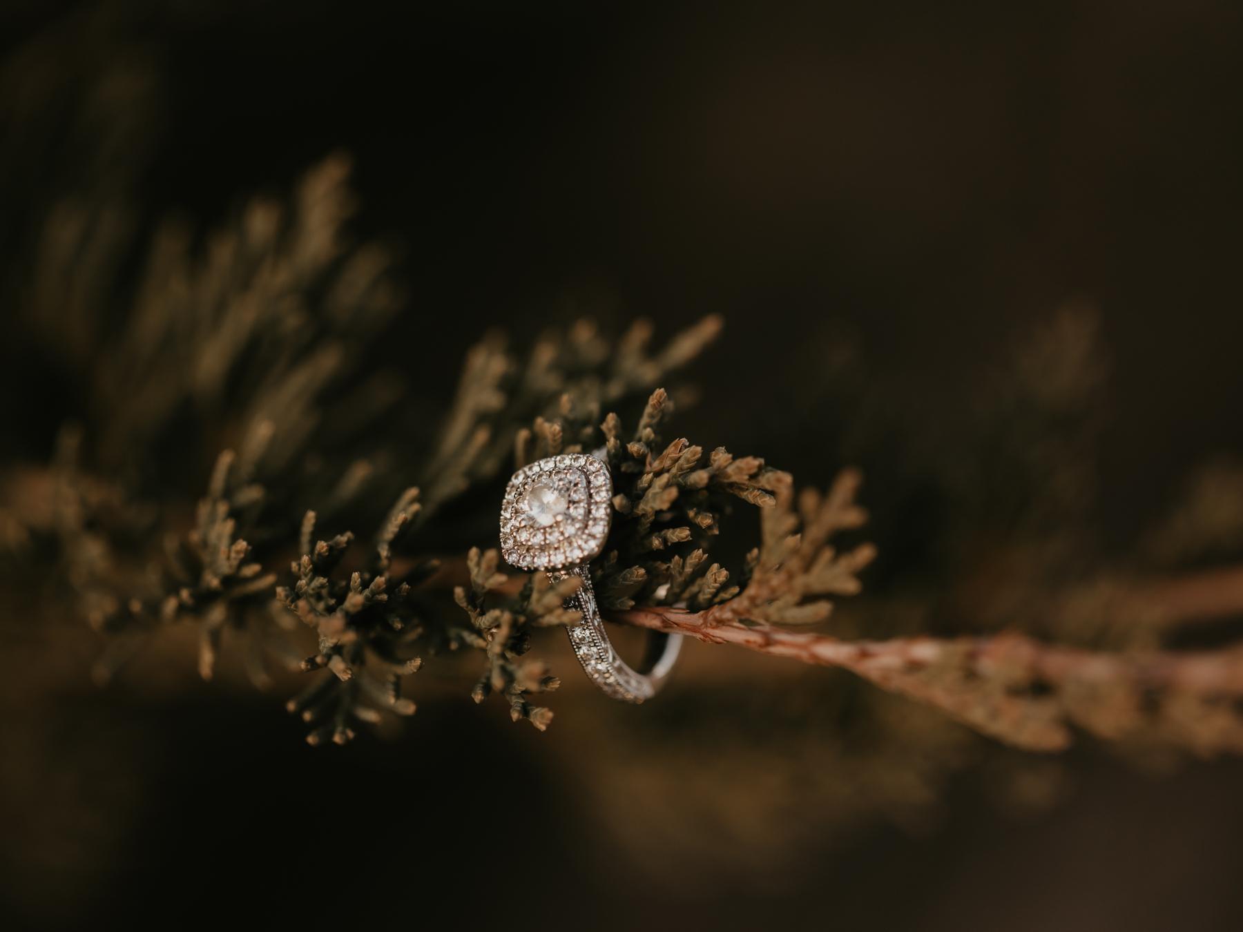 The Wedding Website of Morgan Wilfahrt and Nicholas Mehlhop
