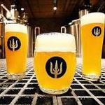 Wayfinder Beer