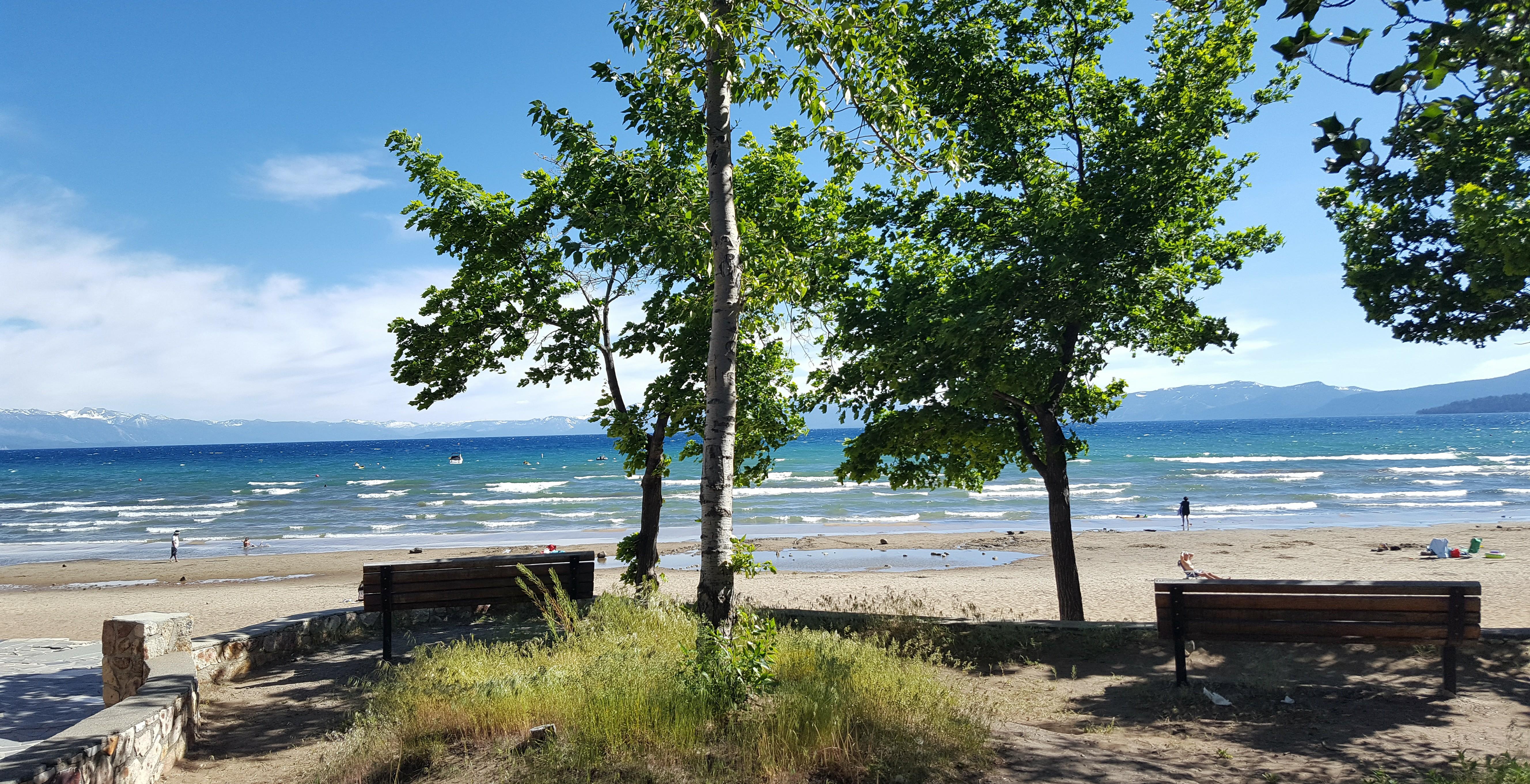 The Wedding Website of Leah Cross and Michael Martinelli