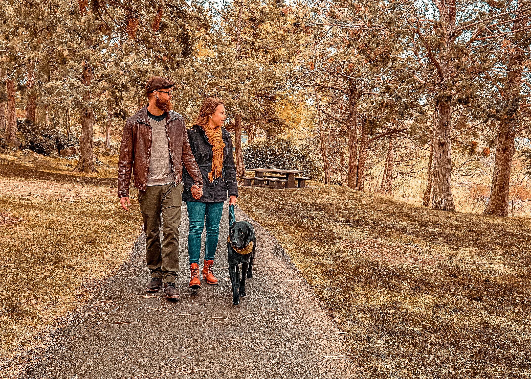 3f499d31-b87d-4eee-9a06-46f47c190e0b