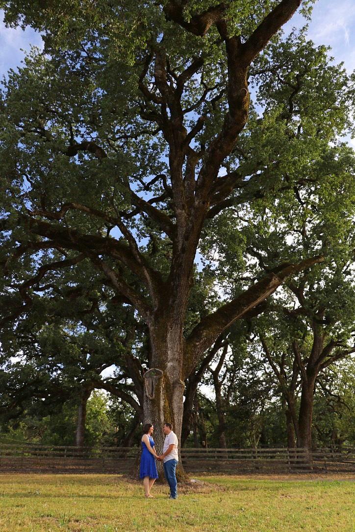 The Wedding Website of Briga Mullin and Matthew Vaughn