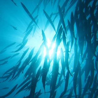 Night Kayak with Pirate & Ghost Stories for 2 - US Virgin Islands