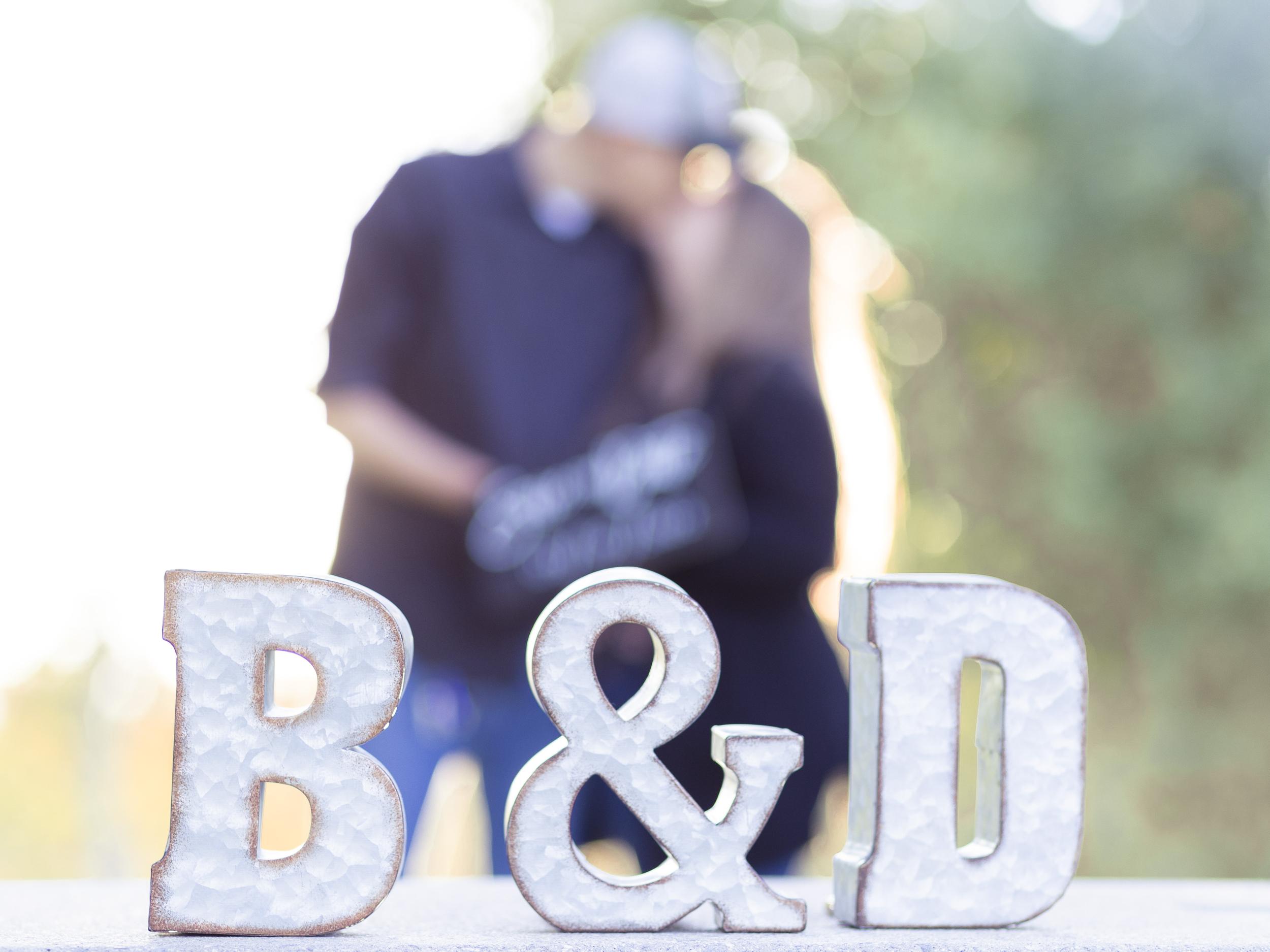 The Wedding Website of Denise Dowell and Brenden Luciani