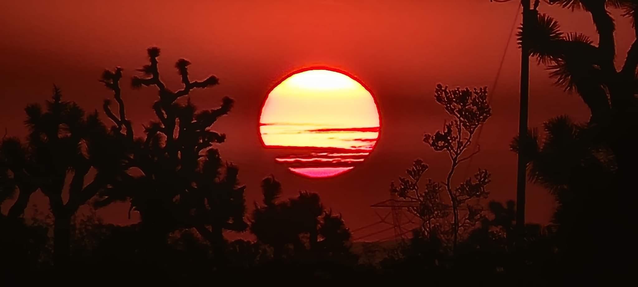 The Wedding Website of Cameron Vermeulen and Betty Maukovich