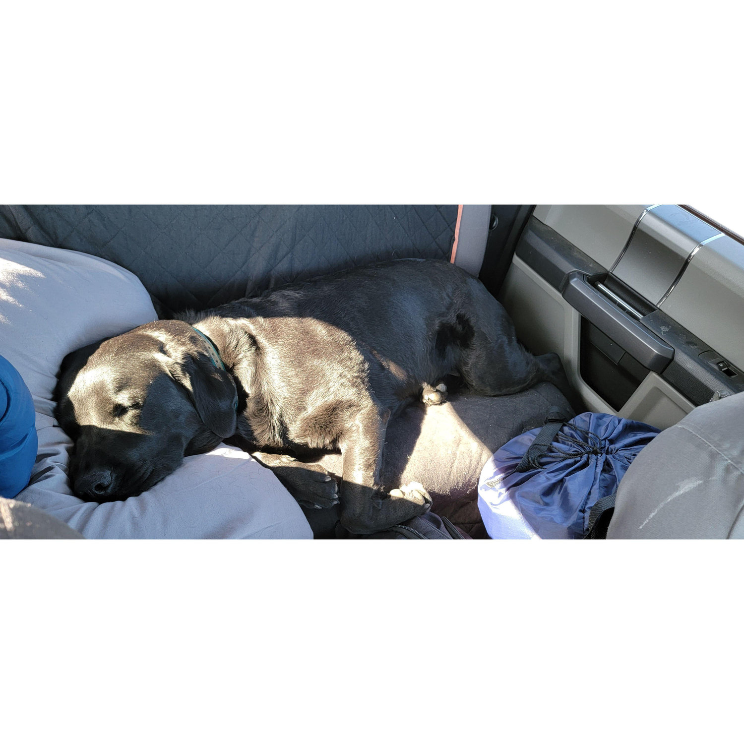 Napping in the vehicles is in her top 3 things to do