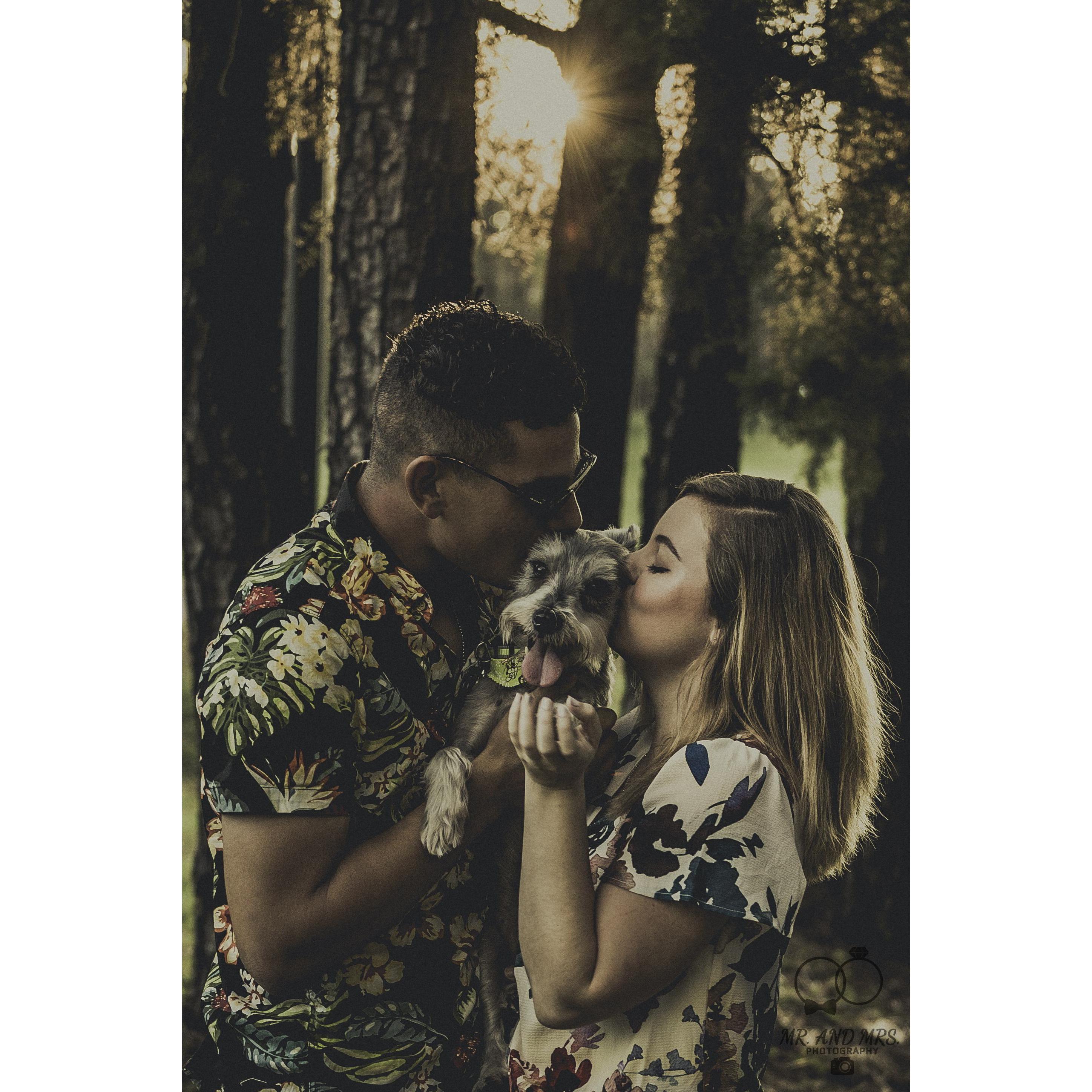 Our wedding day marks 6 whole years together. Who would've guessed that one night joking about pandas in battle gear would lead to a whole life together?