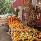 Fresh Market Produce