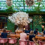The Garden Room